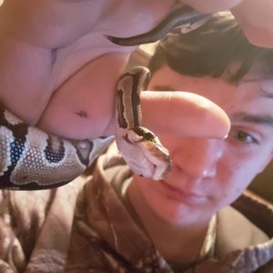 Meet your Posher, Travis